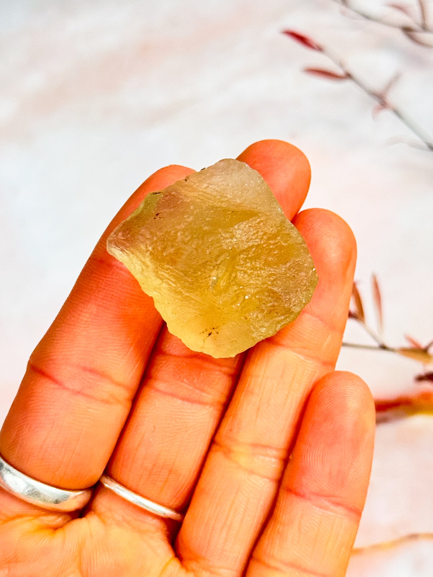 Libyan Desert Glass Specimens