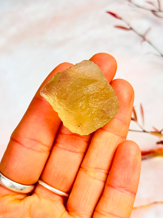 Libyan Desert Glass Specimens