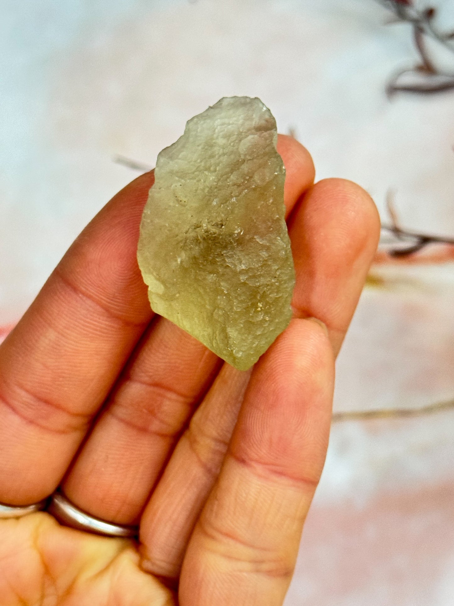 Libyan Desert Glass Specimens