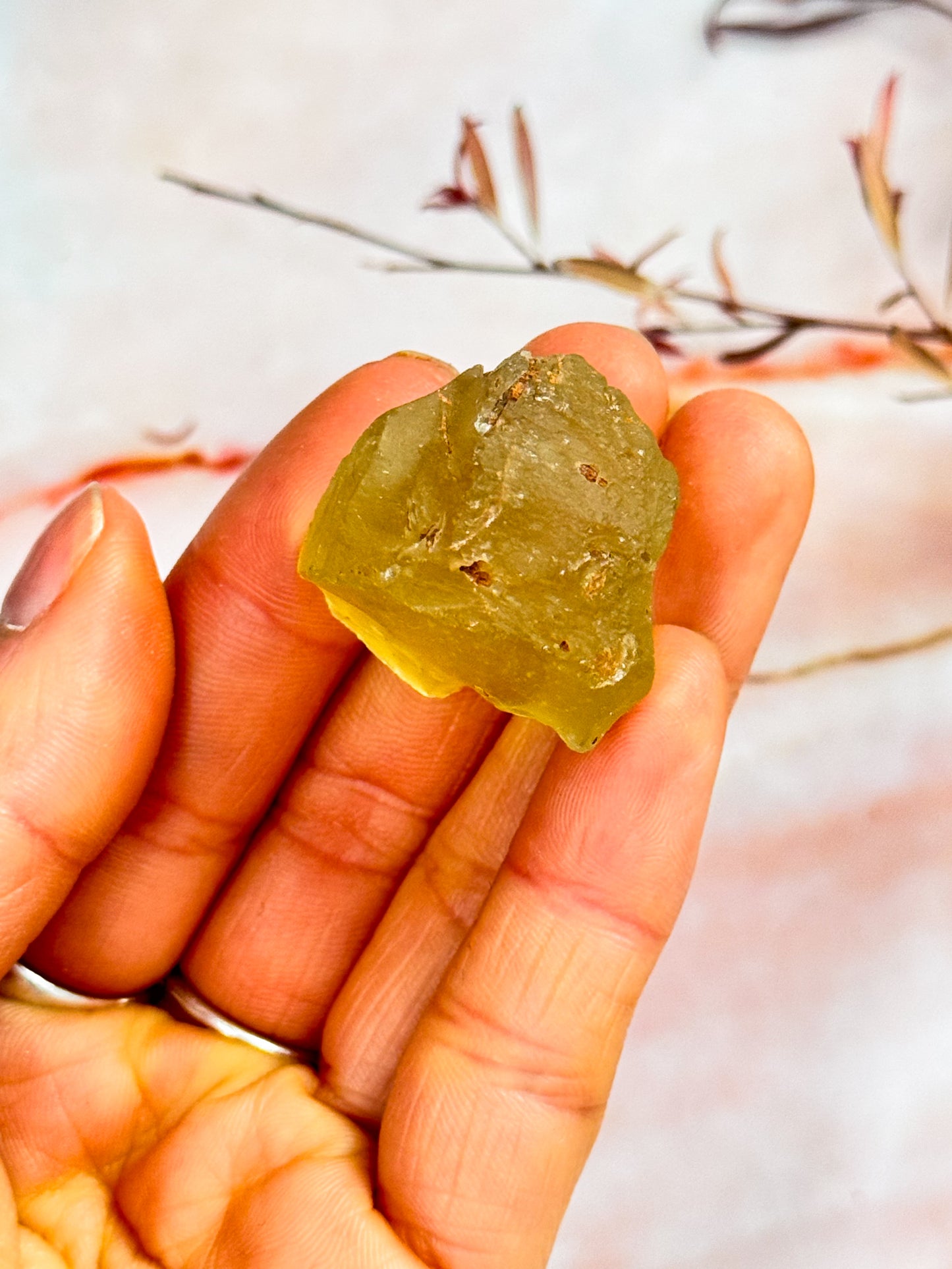 Libyan Desert Glass Specimens
