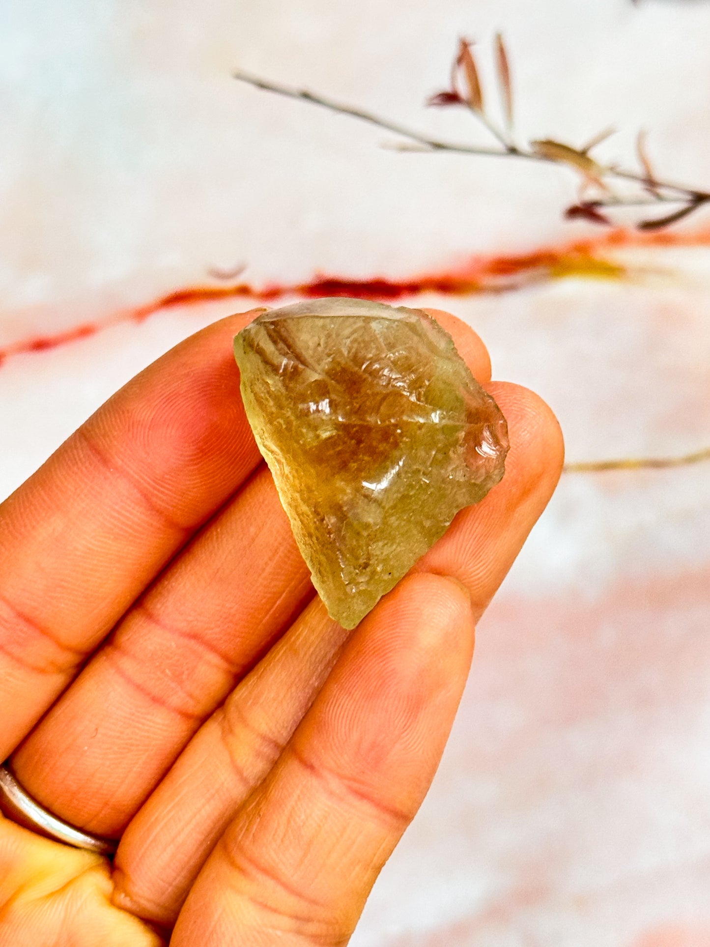 Libyan Desert Glass Specimens