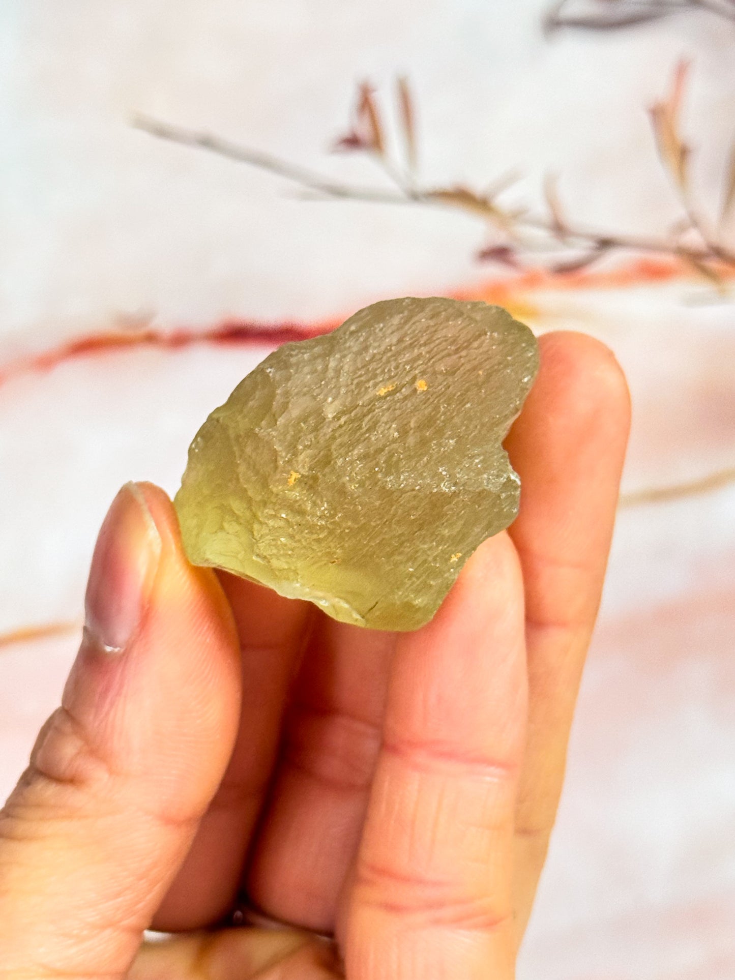 Libyan Desert Glass Specimens