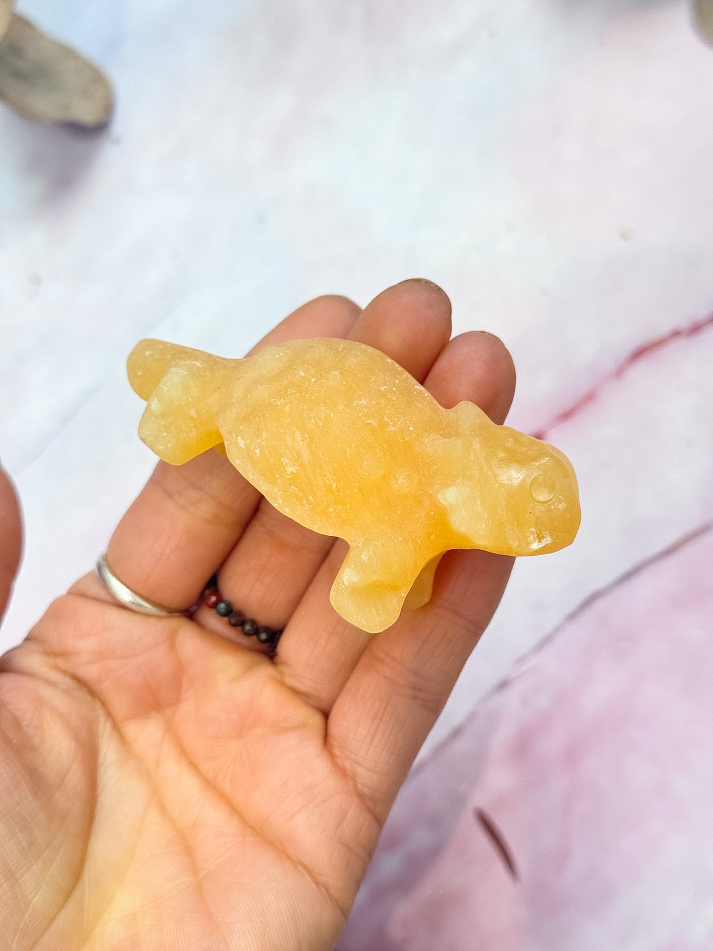 Ankylosaurus Carvings