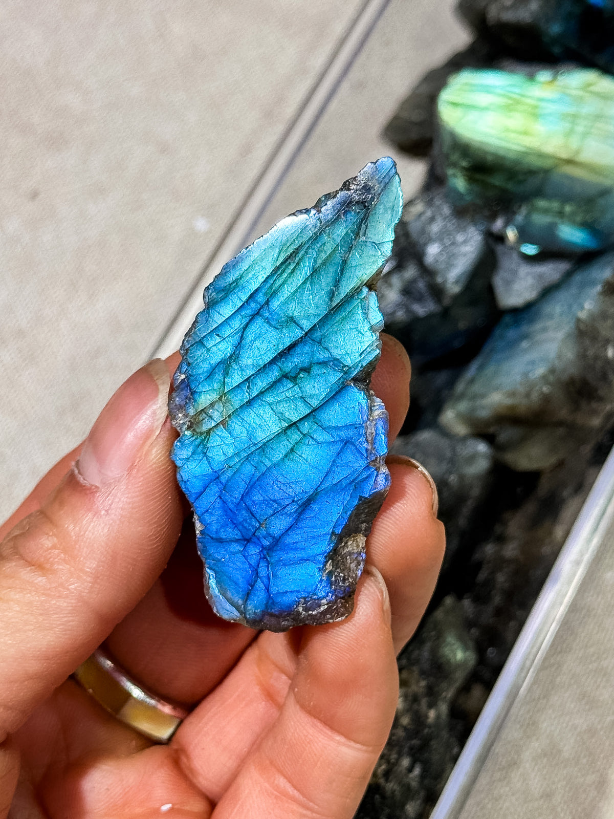 Labradorite Half-Polished Slices