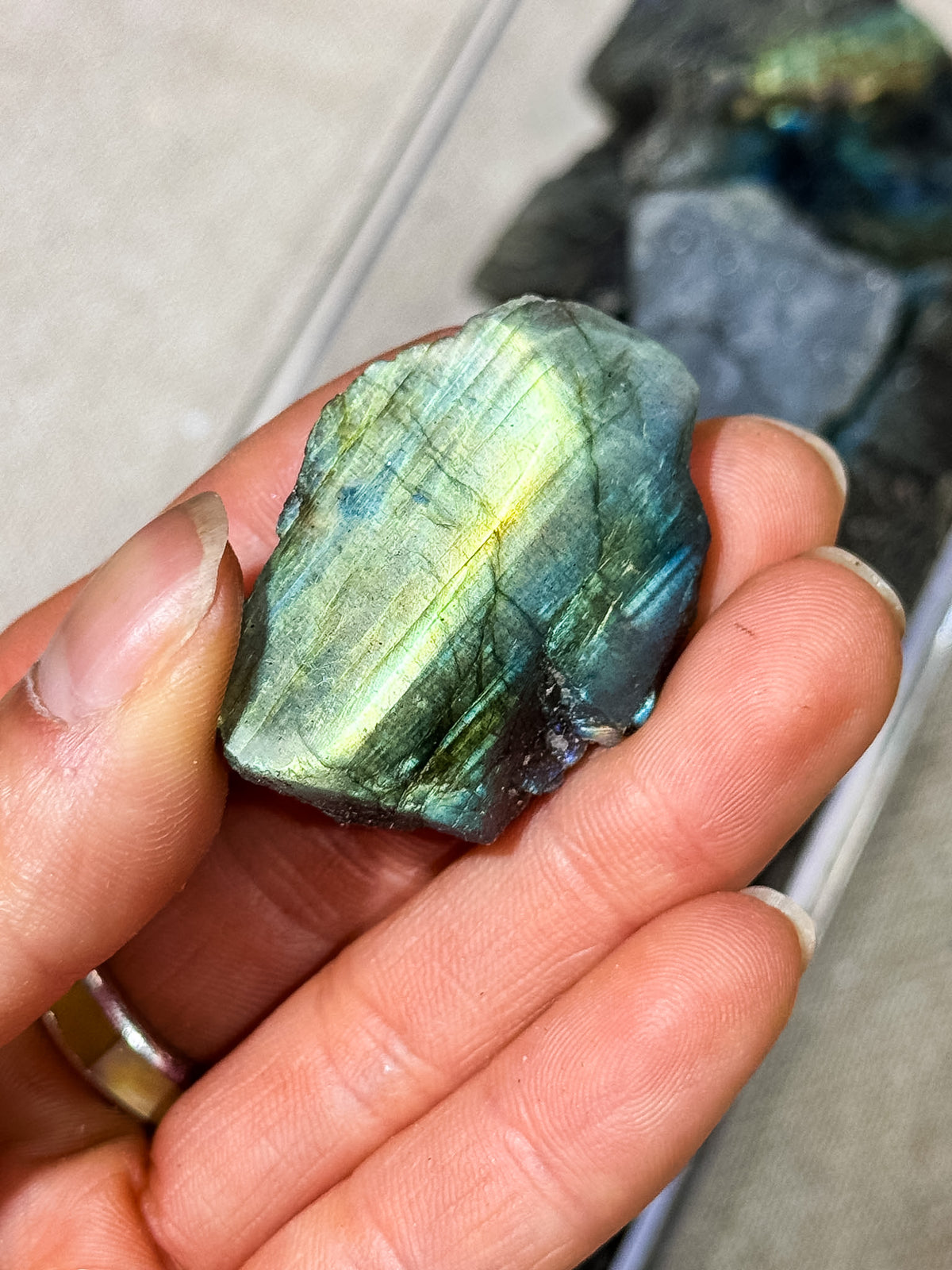 Labradorite Half-Polished Slices