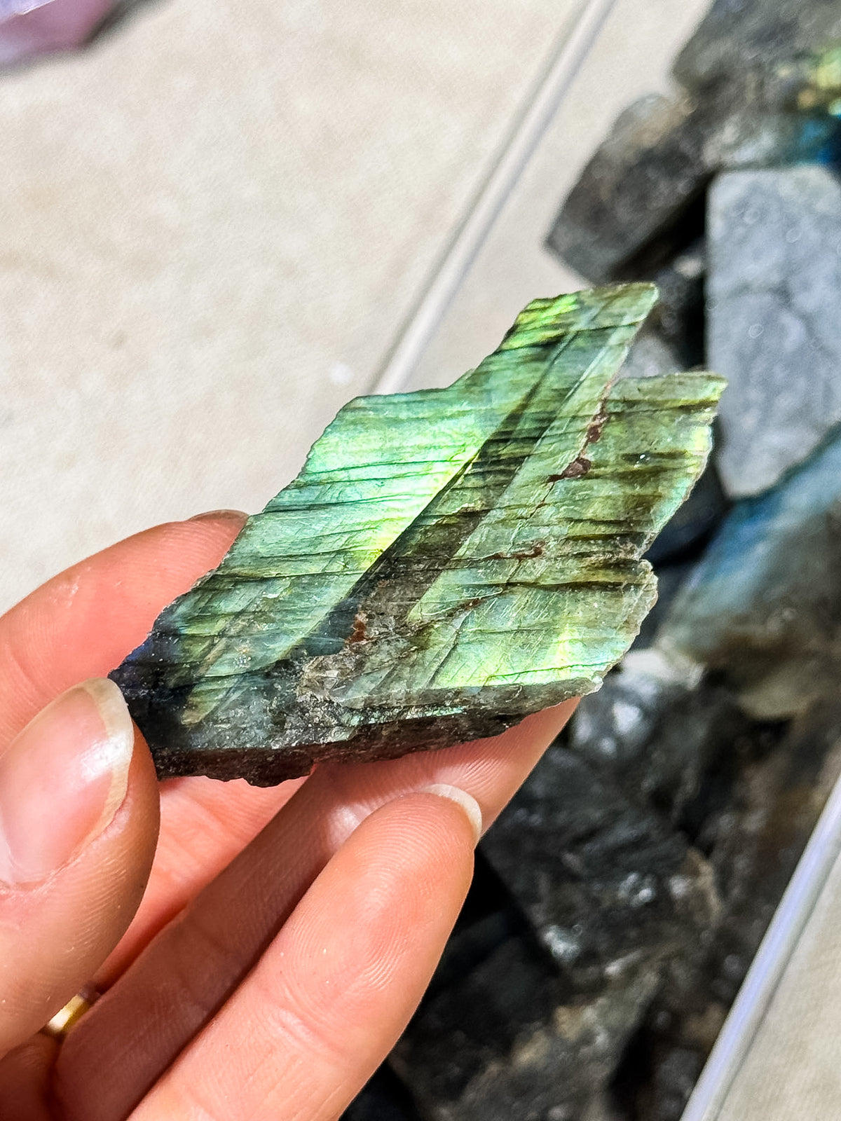 Labradorite Half-Polished Slices