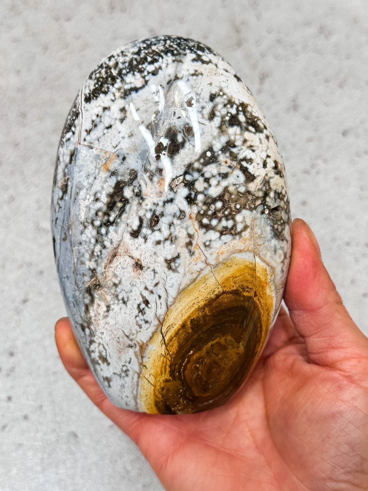 Orbicular Ocean Jasper Freeform