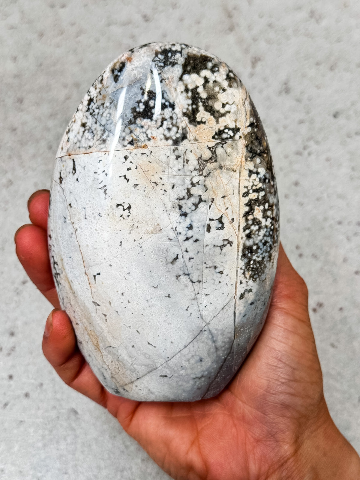 Orbicular Ocean Jasper Freeform