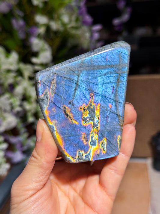 Purple Labradorite Freeform