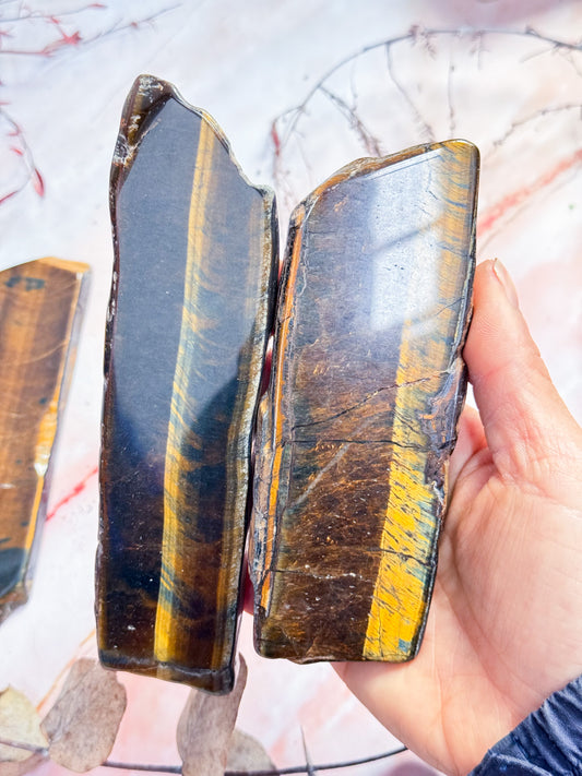 Tigers Eye Slices
