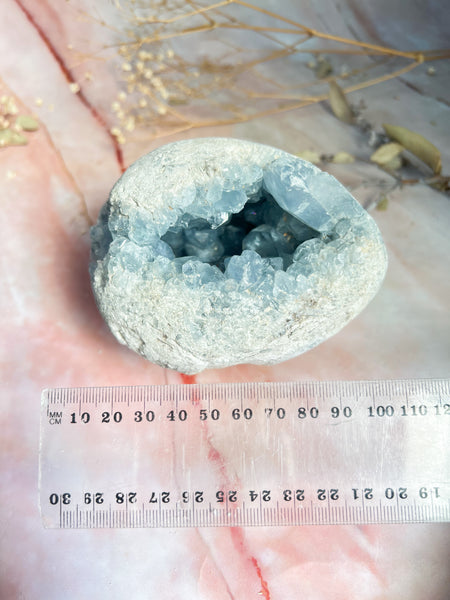 Celestite Geode Egg