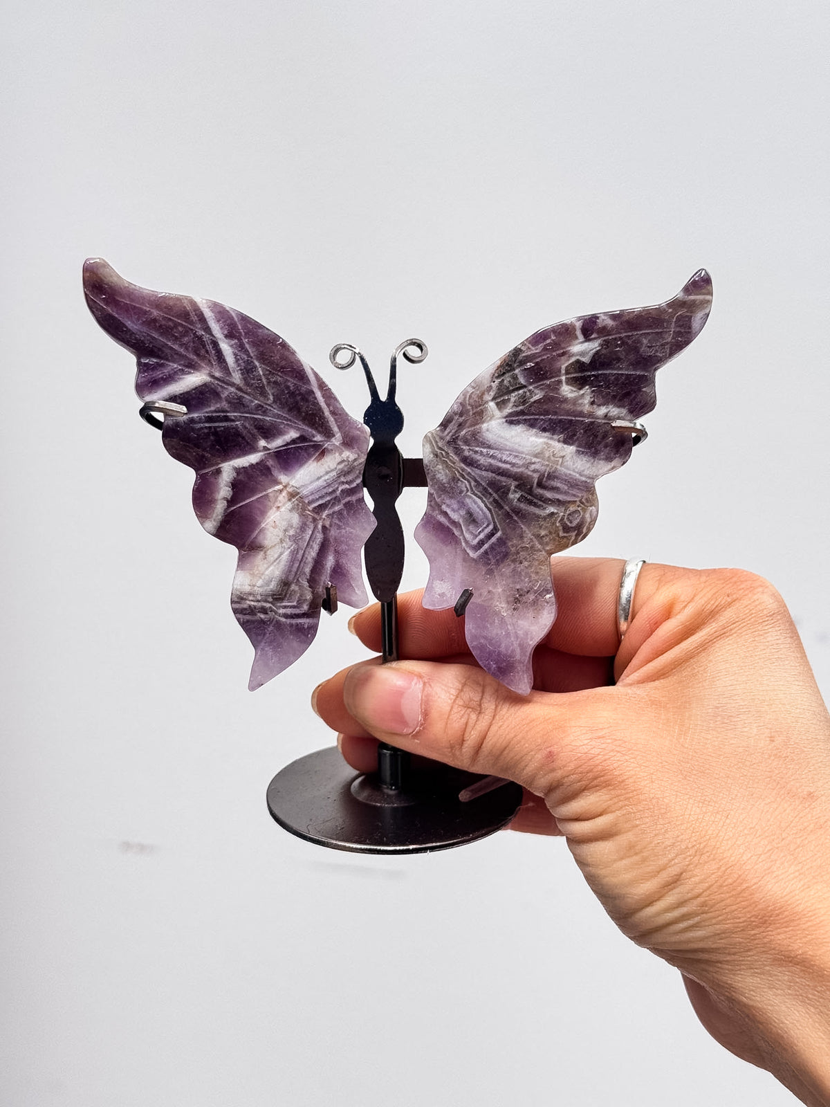 Chevron Amethyst Butterfly Wing Pairs