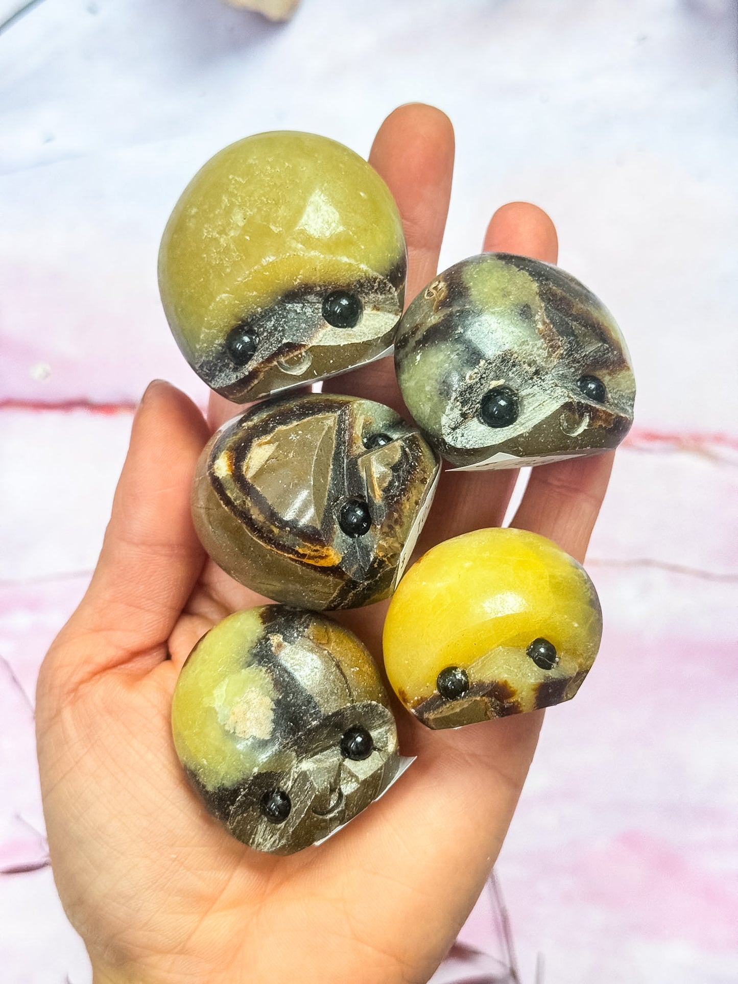 Septarian Dragon Rock Friends