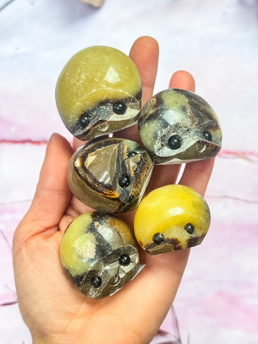 Septarian Dragon Rock Friends