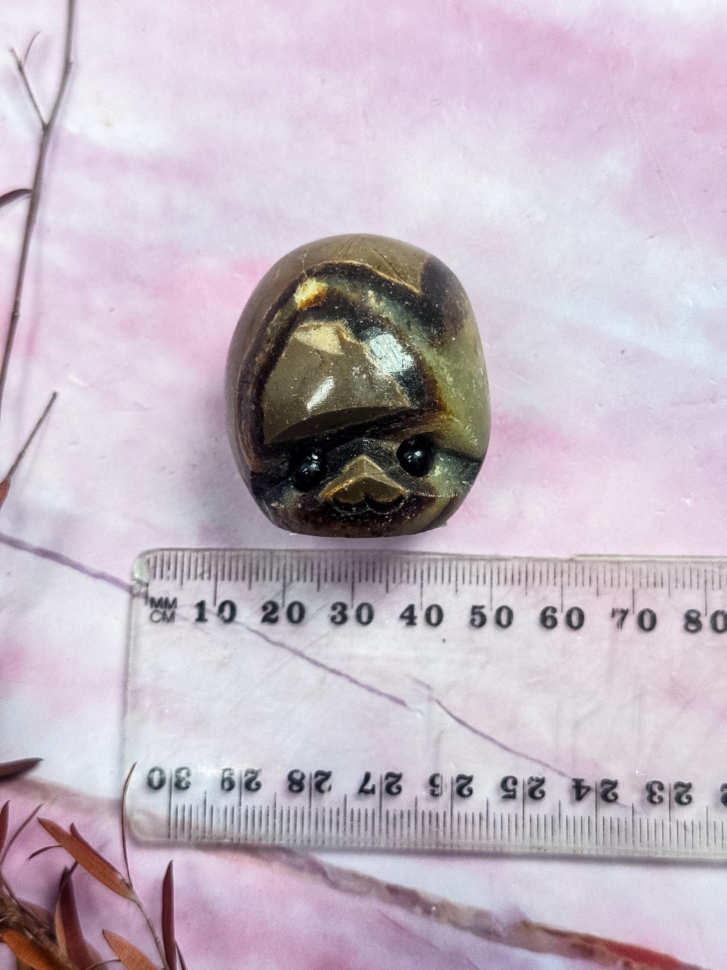 Septarian Dragon Rock Friends