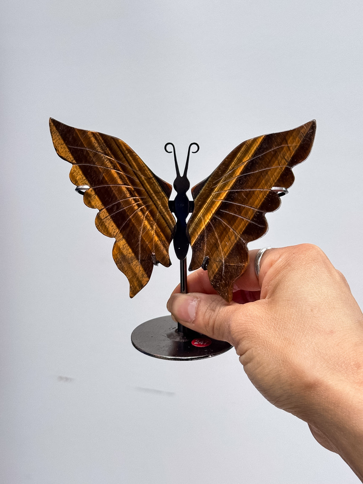 Gold Tigers Eye Butterfly Wing Pairs