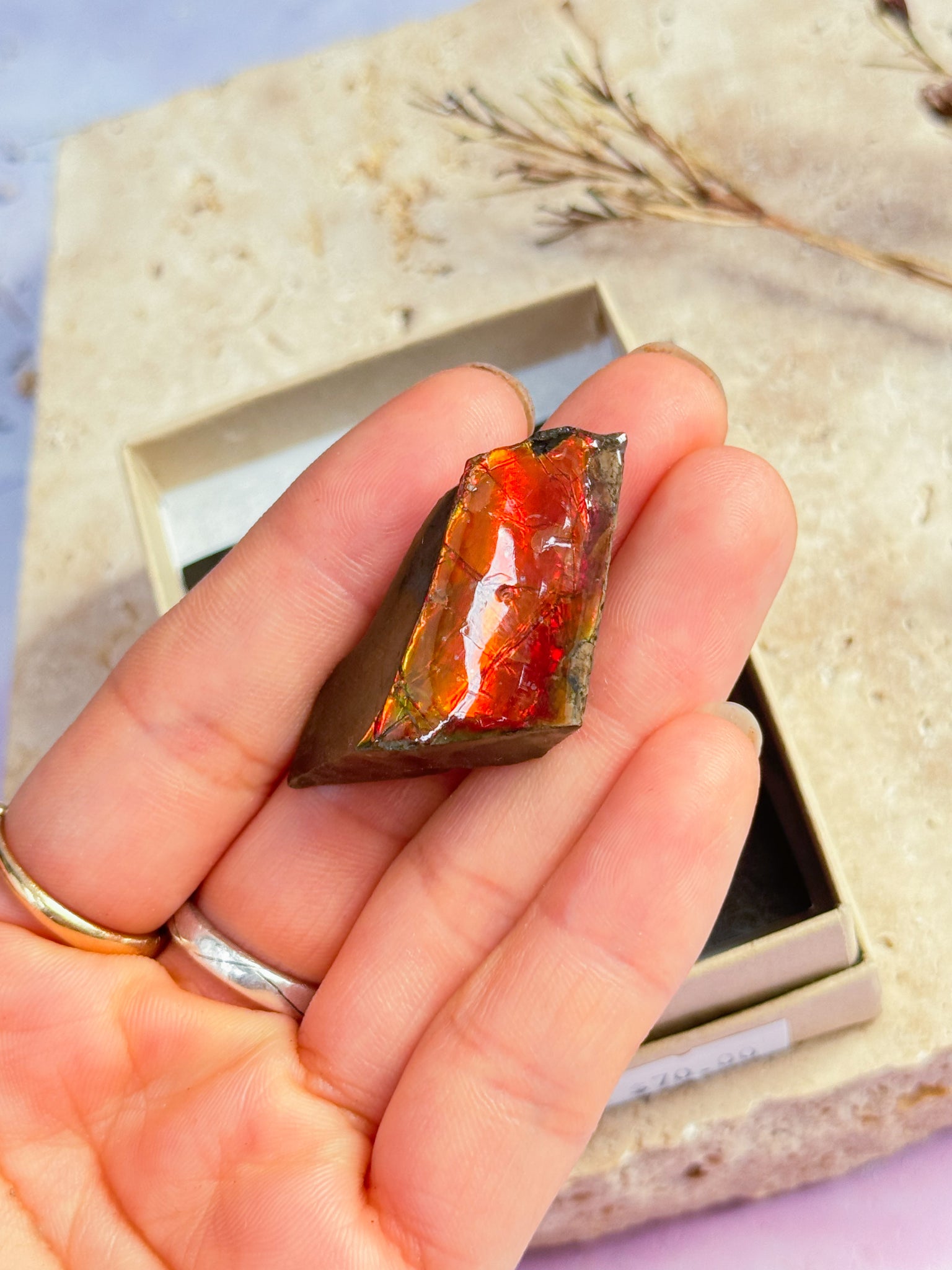 Ammolite Specimen