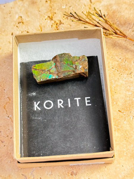 Ammolite Specimen