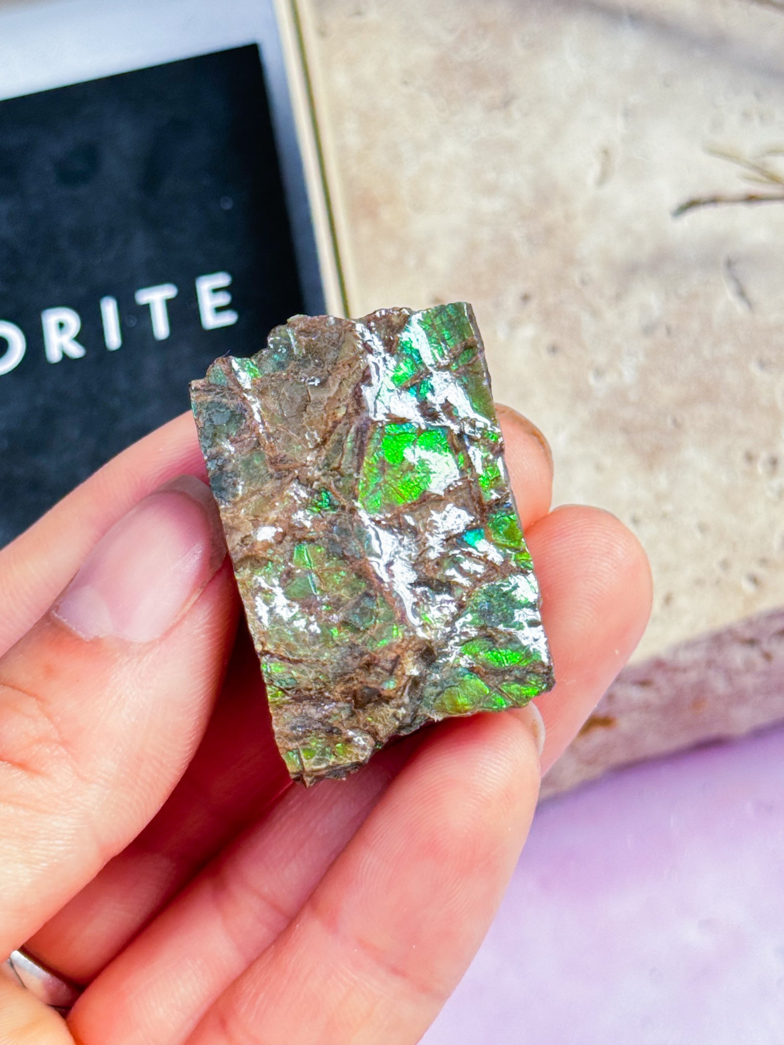 Ammolite Specimen