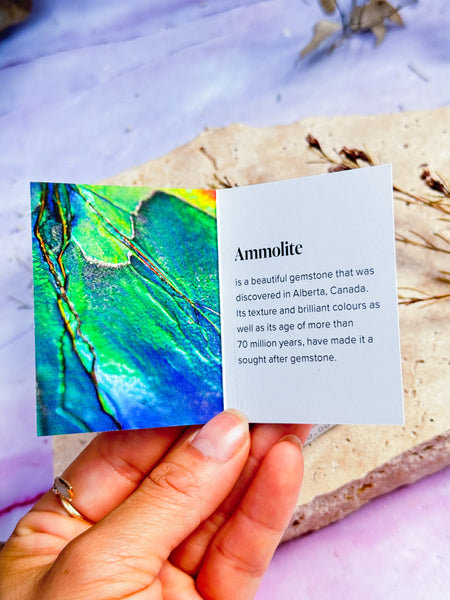 Ammolite Specimen