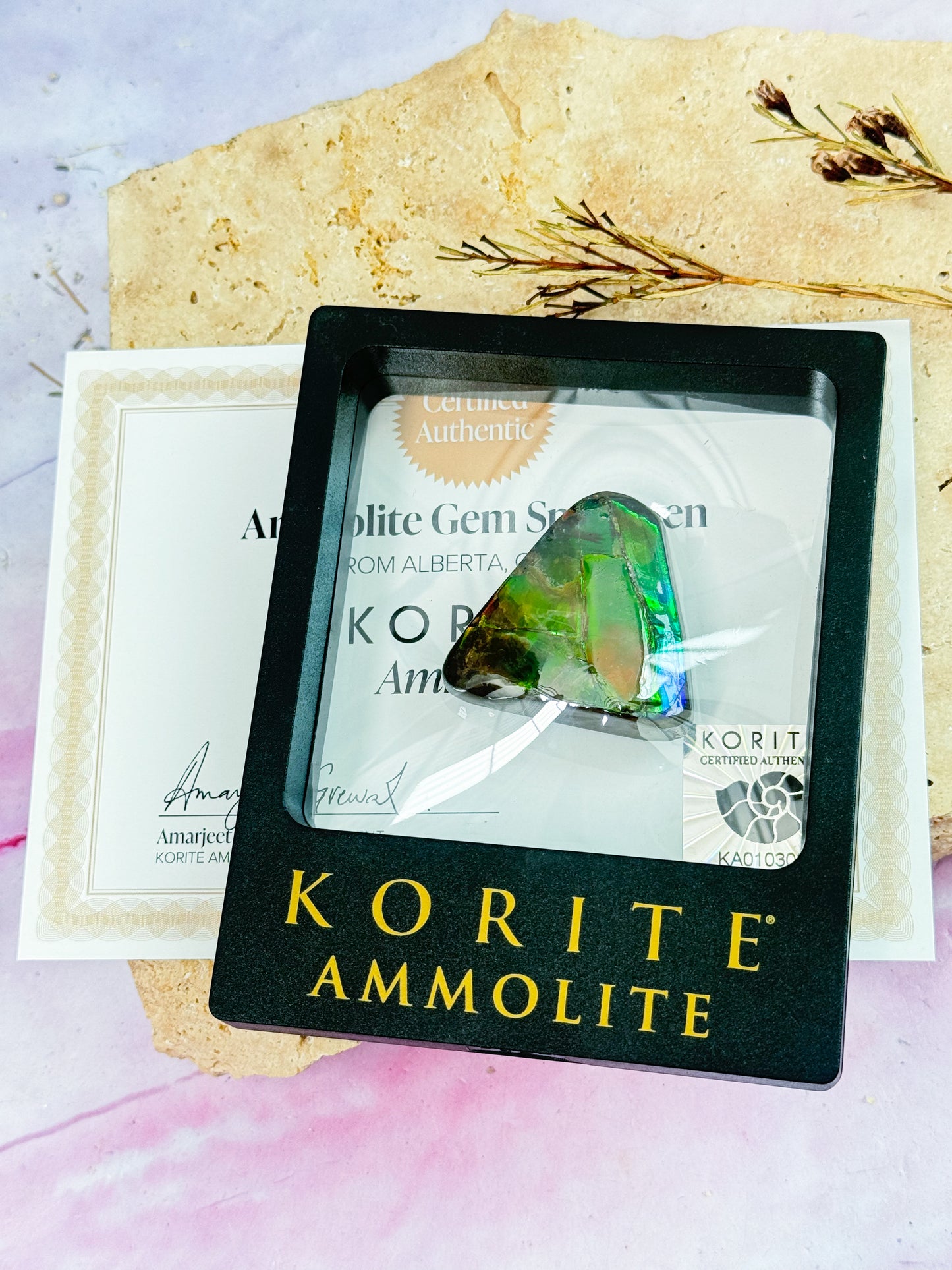 Ammolite Specimen - Large