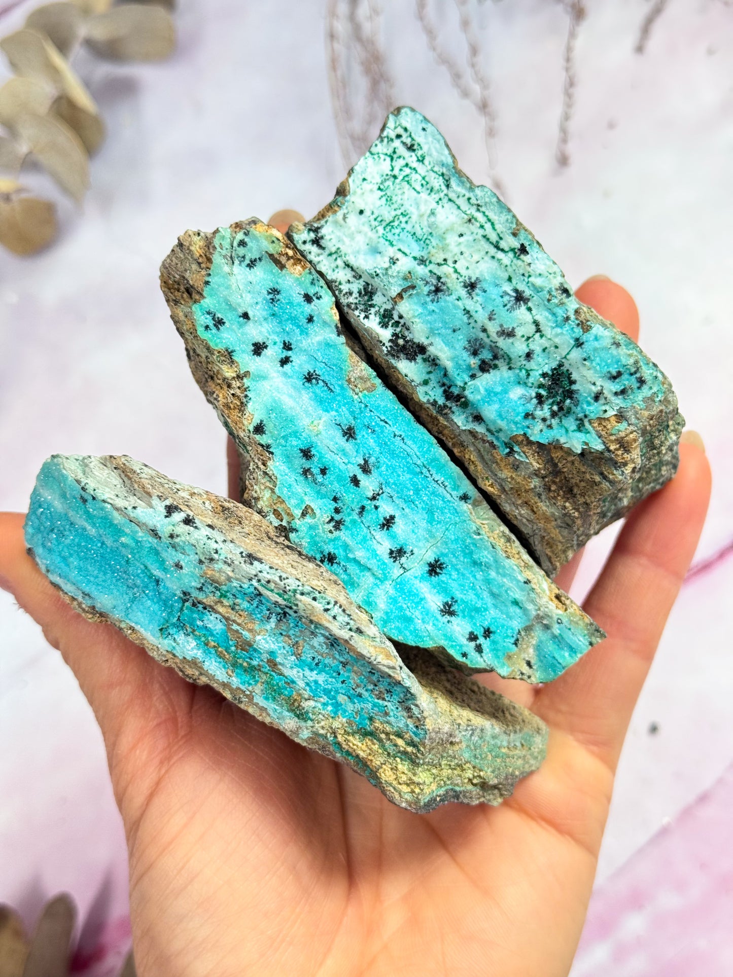 Druzy Chrysocolla Specimens