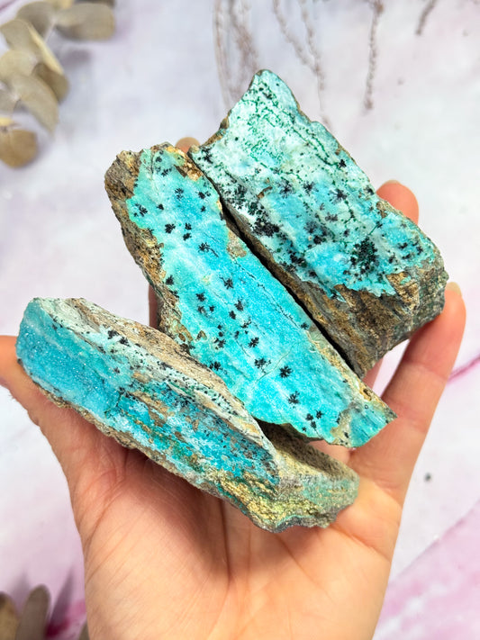 Druzy Chrysocolla Specimens