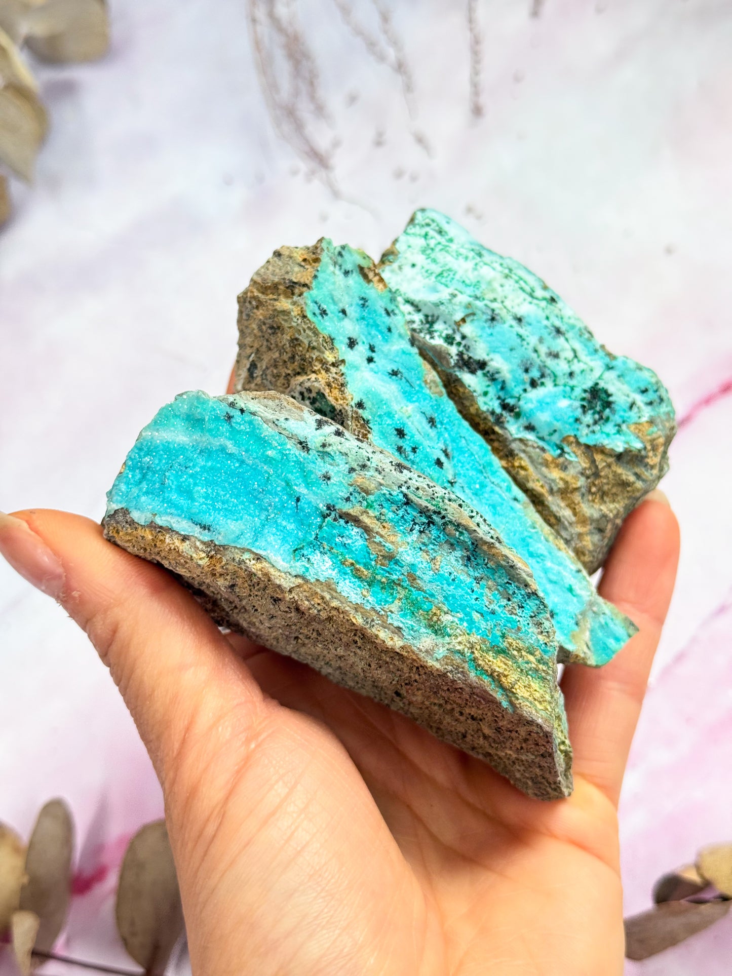 Druzy Chrysocolla Specimens
