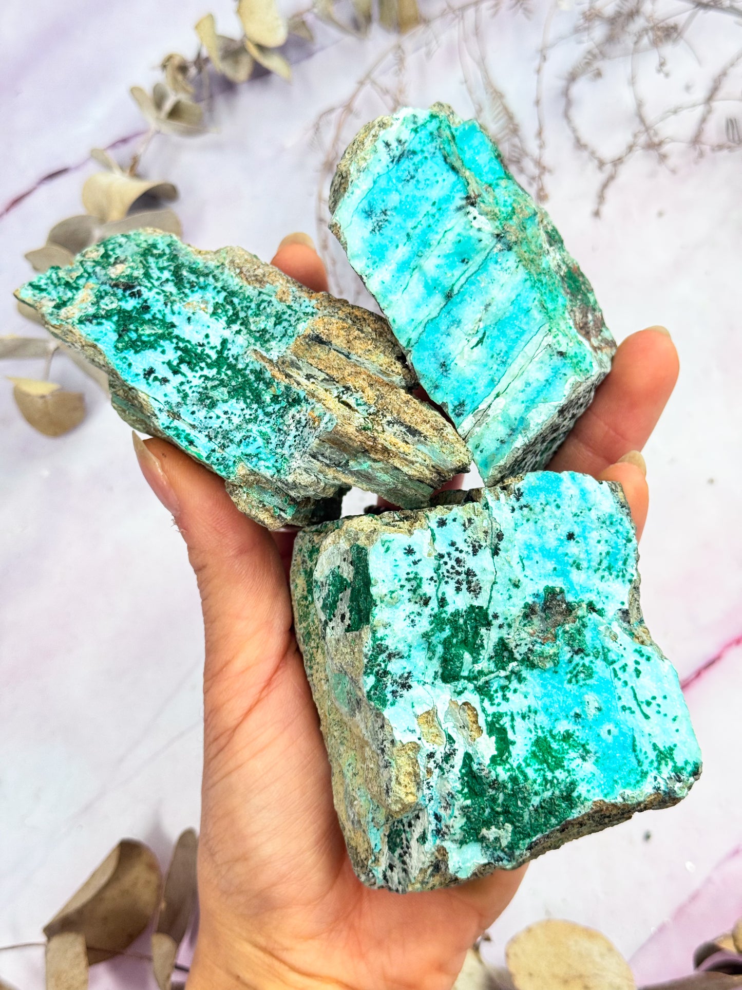 Druzy Chrysocolla Specimens