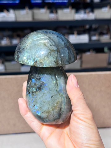 Labradorite Mushroom