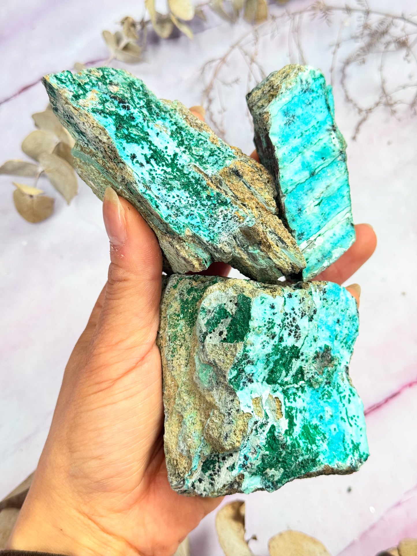 Druzy Chrysocolla Specimens