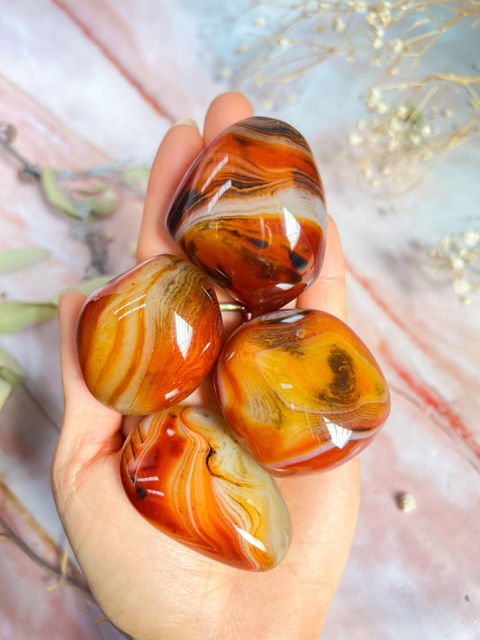 Sardonyx Palmstones