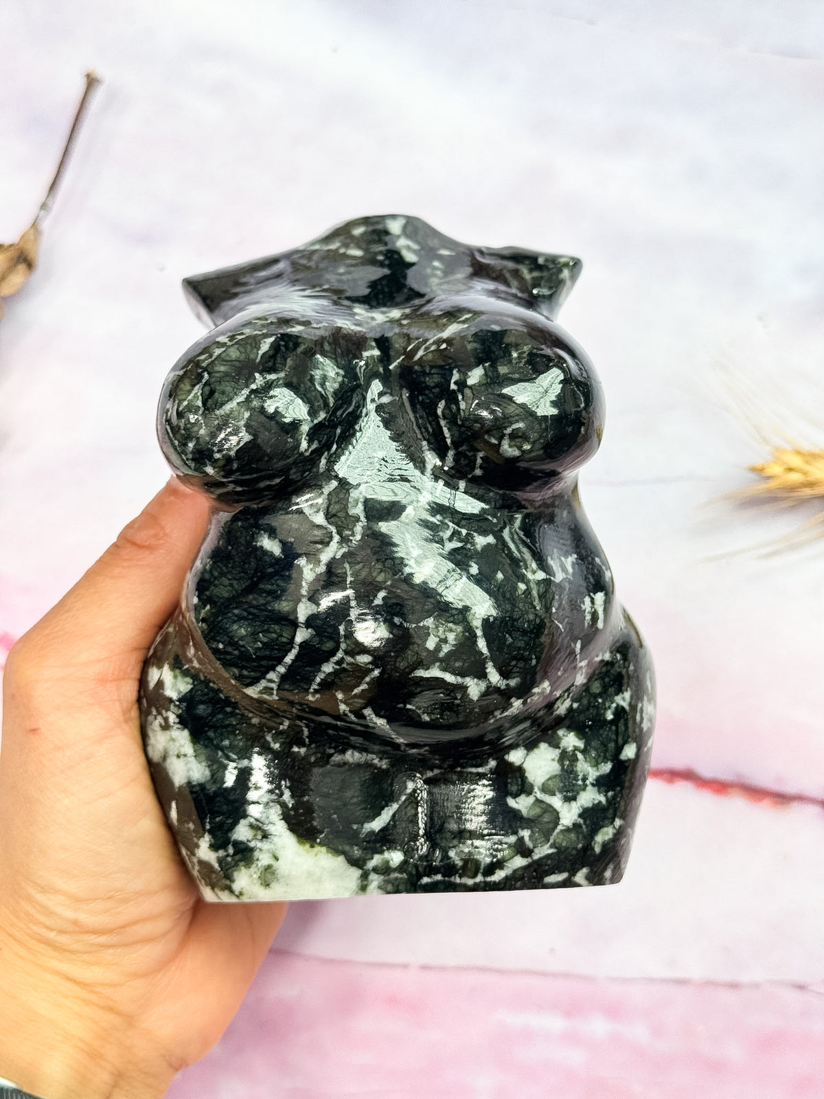 Curvy Black Serpentine Torso