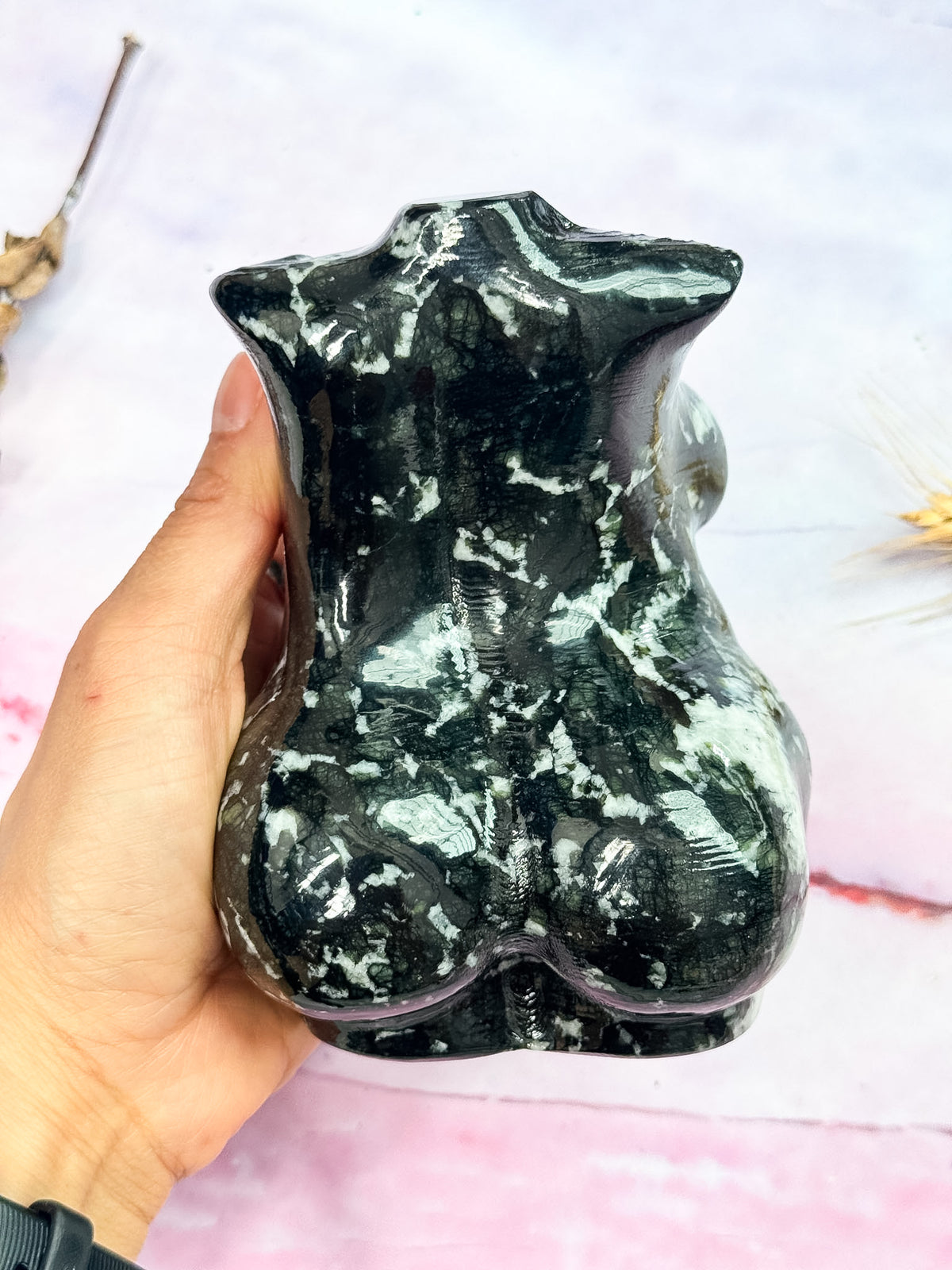Curvy Black Serpentine Torso