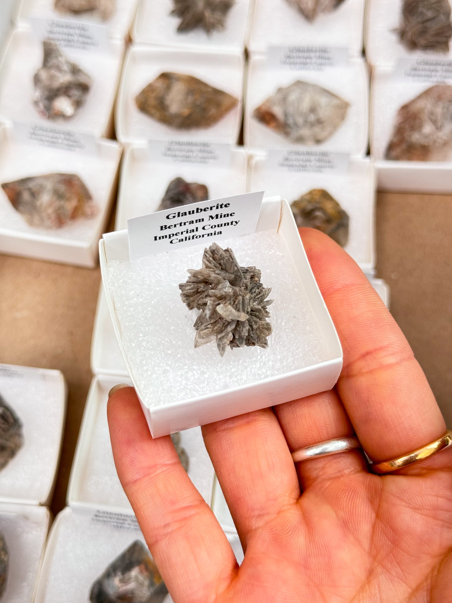 Glauberite Specimens