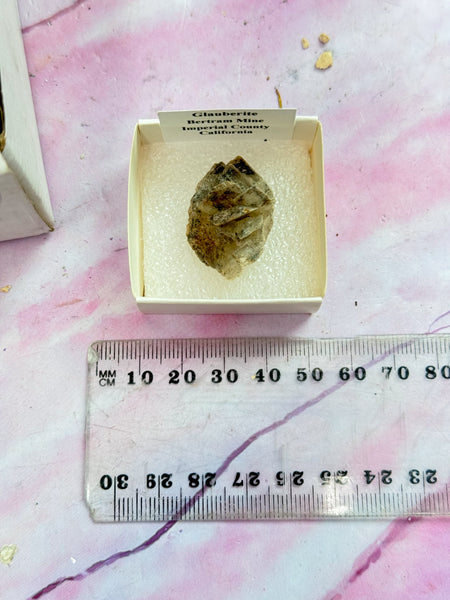 Glauberite Specimens