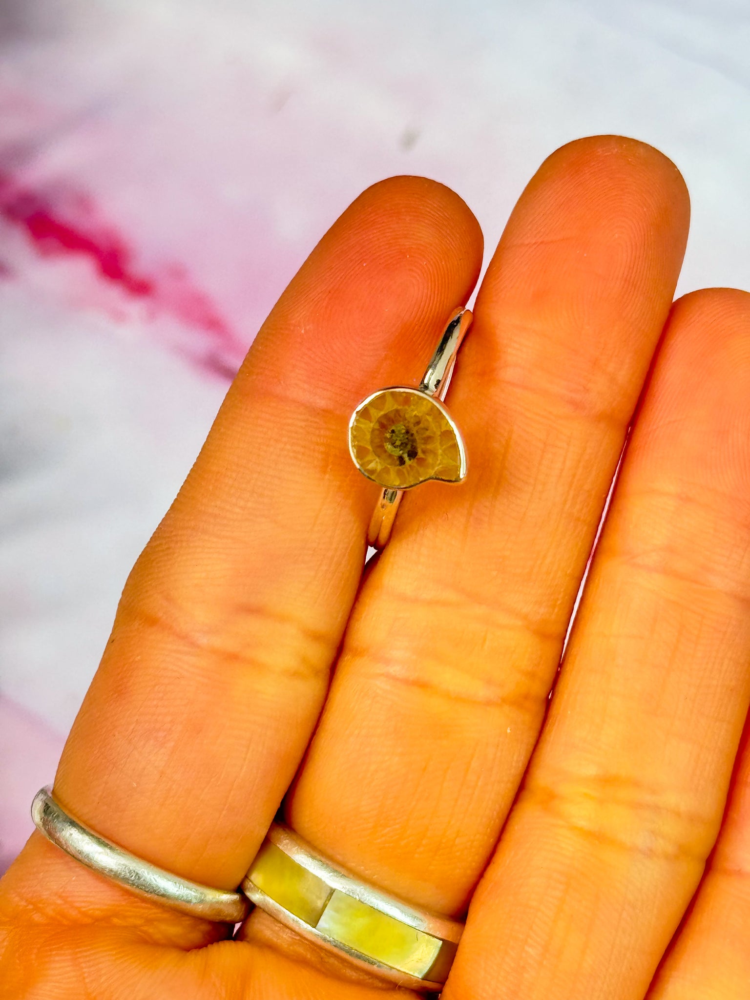 Ammonite Ring