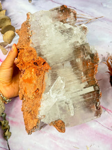 Large Durango Selenite Specimen