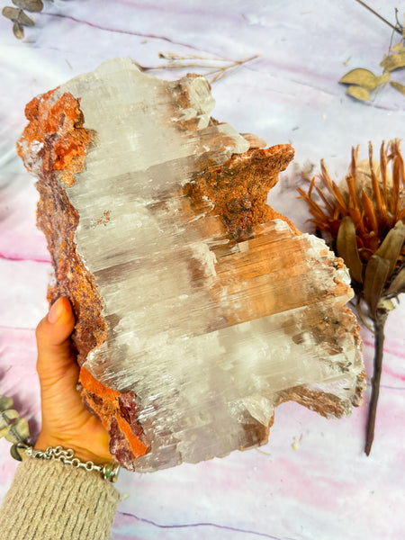 Large Durango Selenite Specimen