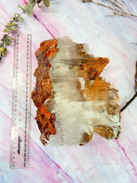 Large Durango Selenite Specimen
