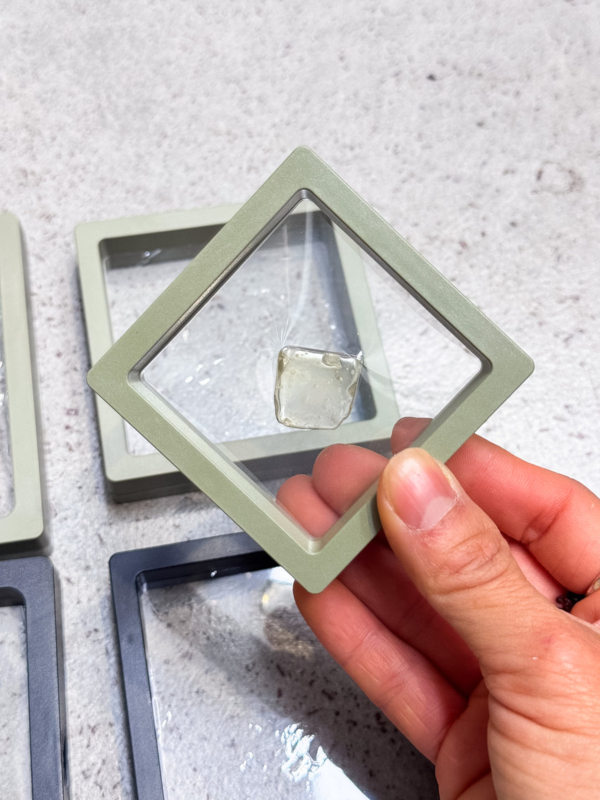 Membrane Display Cases