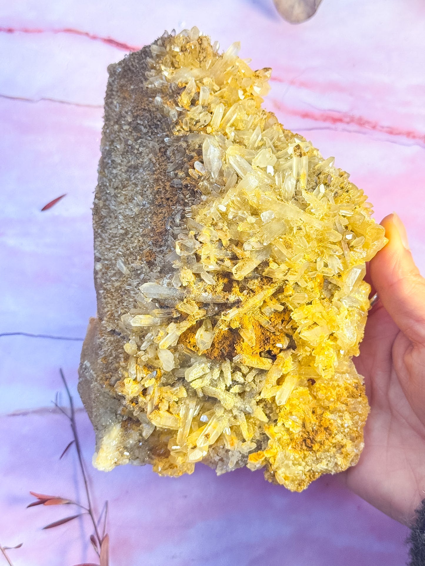 Golden Healer Cluster