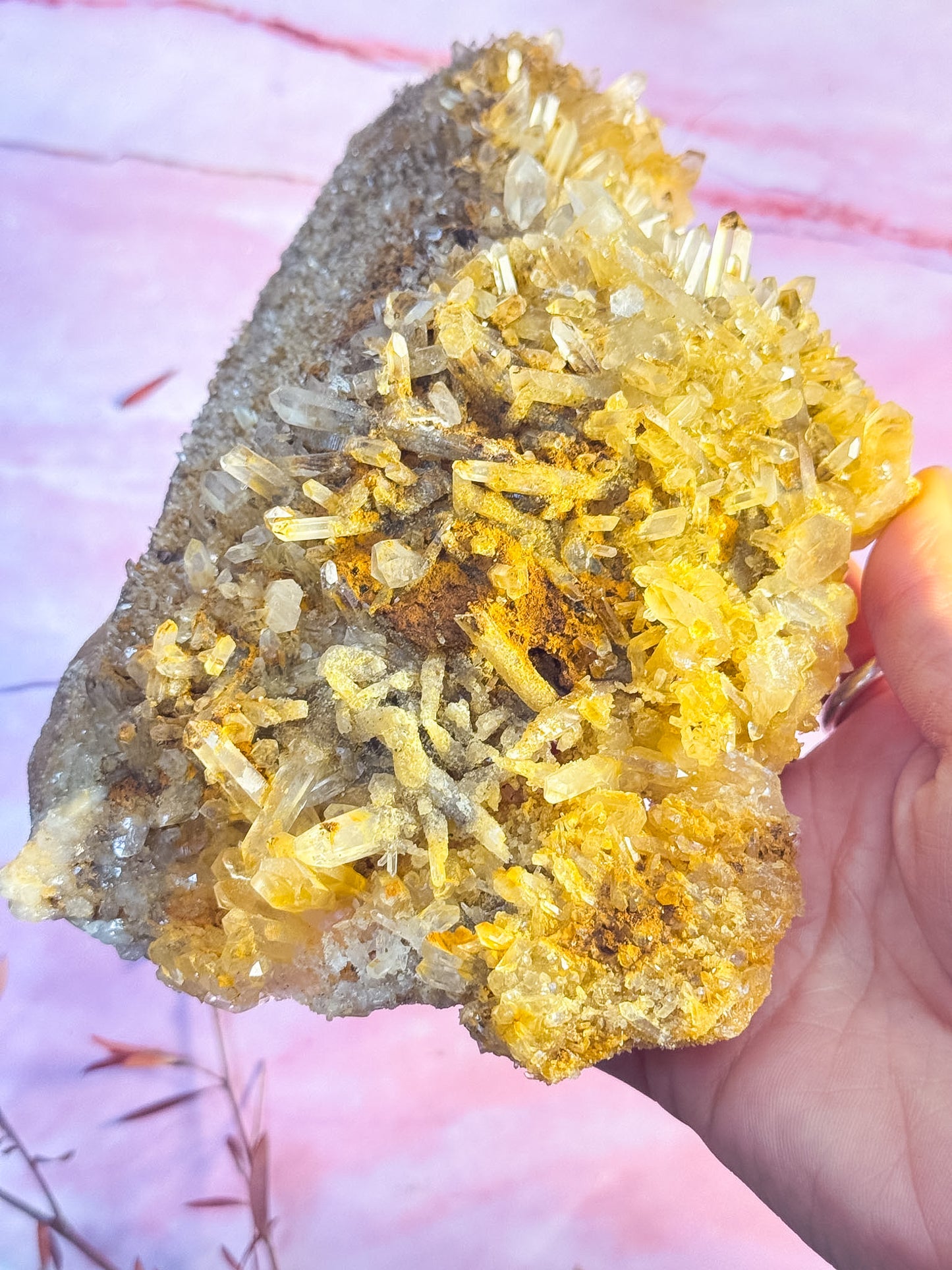 Golden Healer Cluster