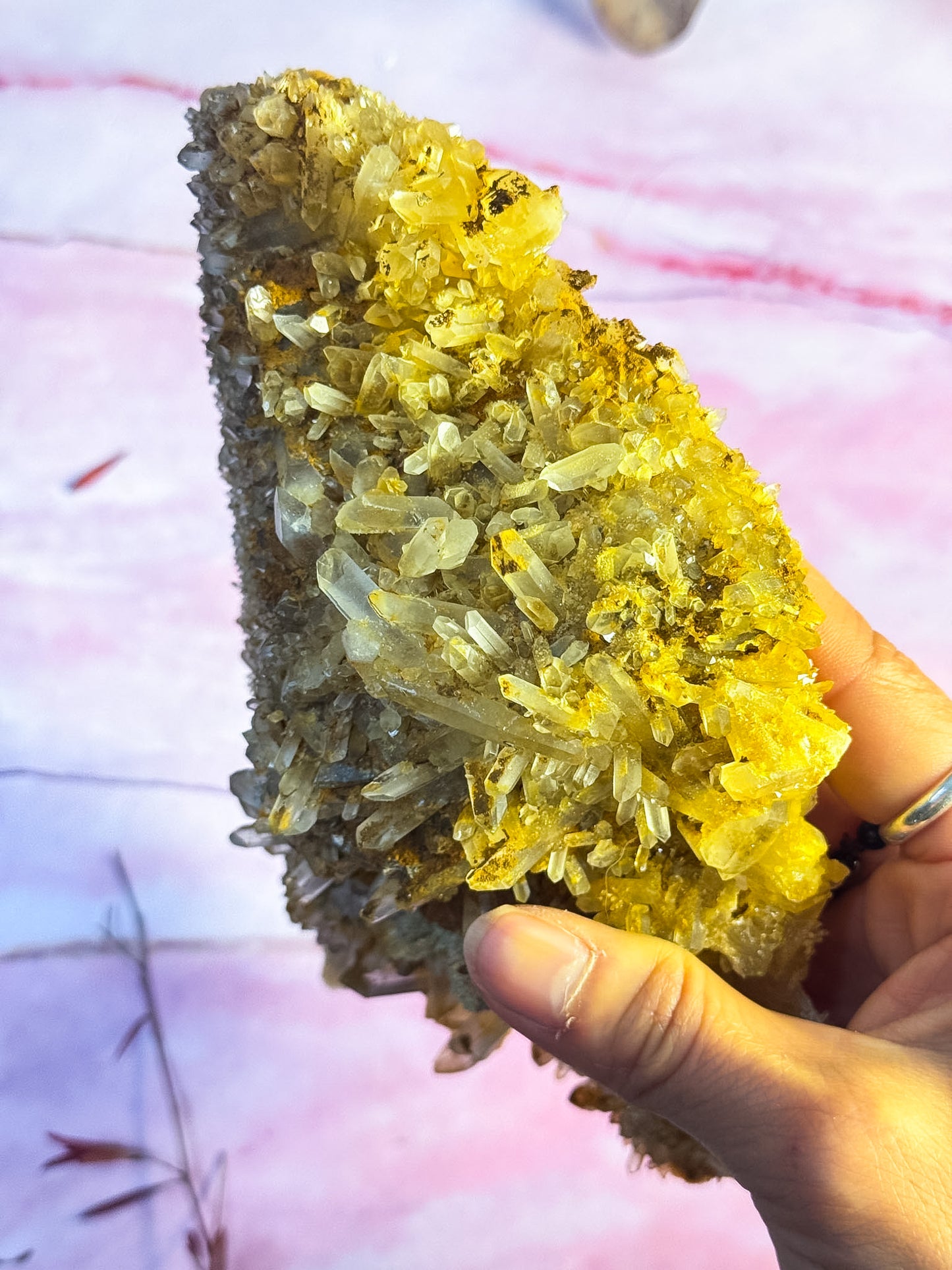 Golden Healer Cluster