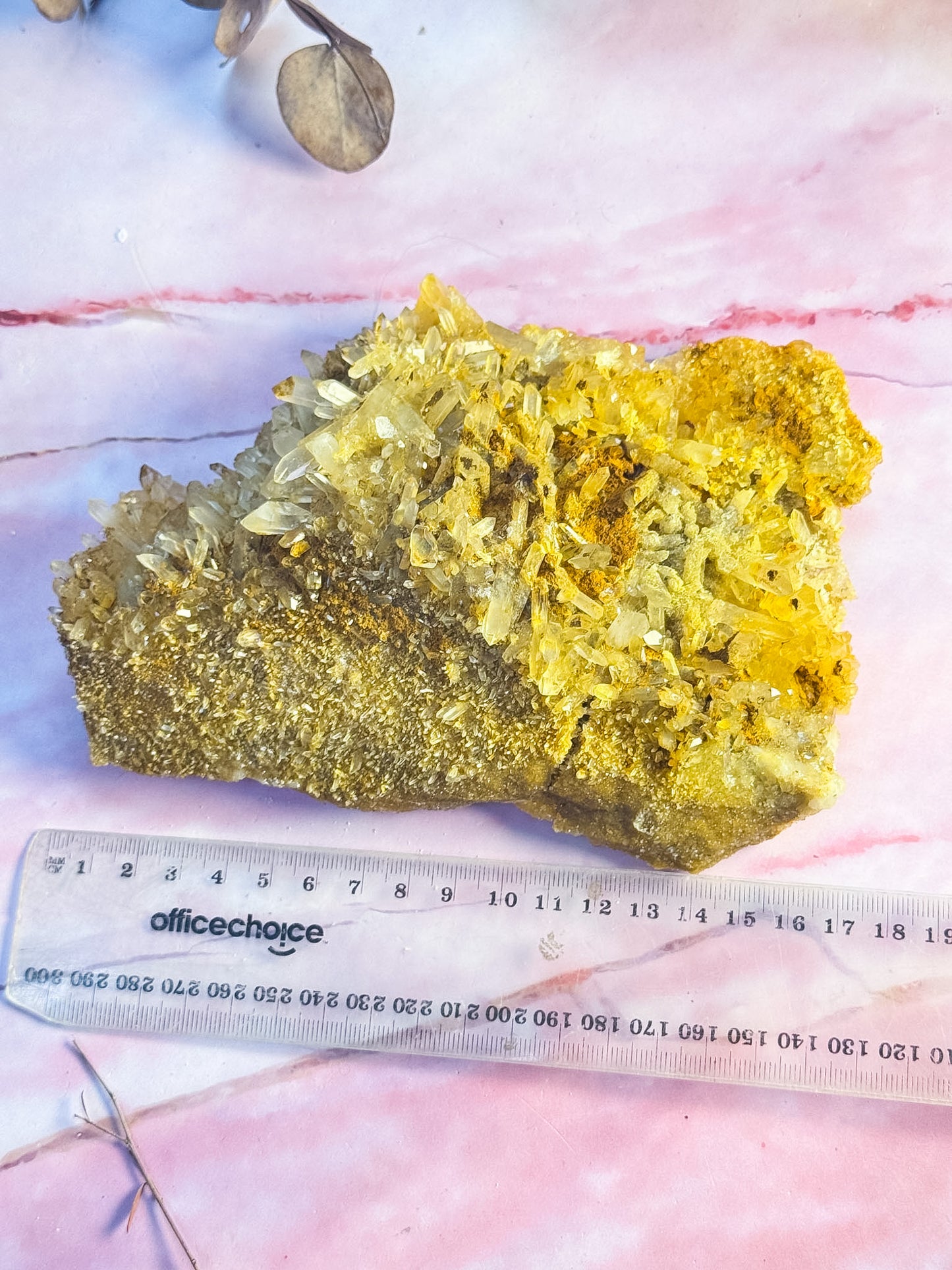 Golden Healer Cluster