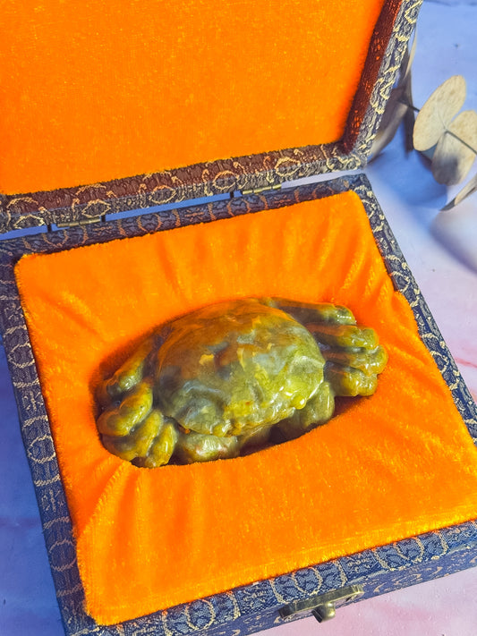 Serpentine Crab in Box