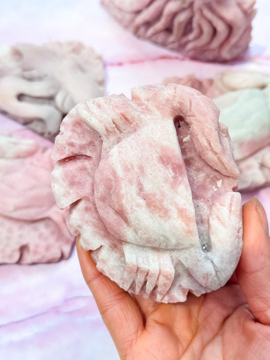 Pink Opal Sea Creatures