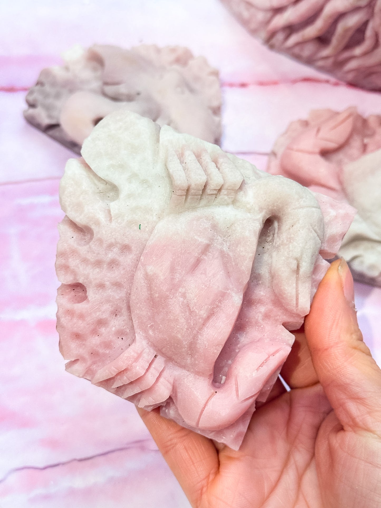 Pink Opal Sea Creatures