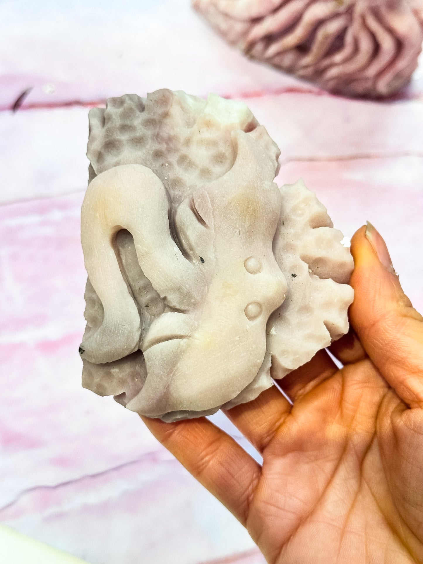 Pink Opal Sea Creatures