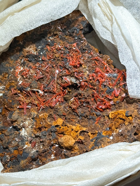 Crocoite Specimen